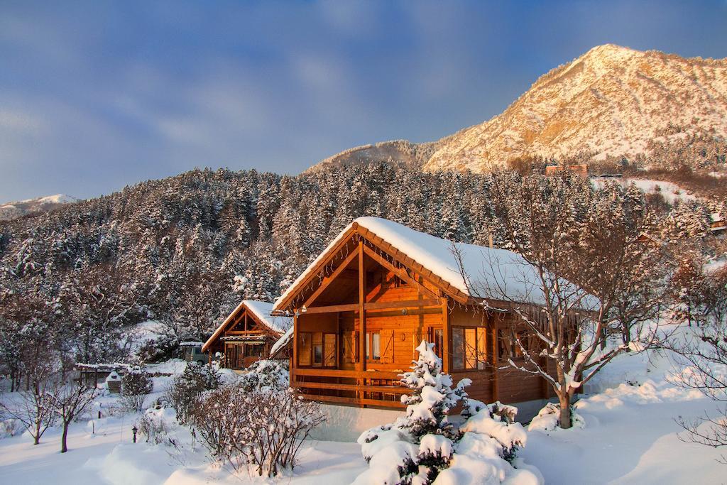 Chalet Carpe Diem La Bâtie-Neuve Rum bild